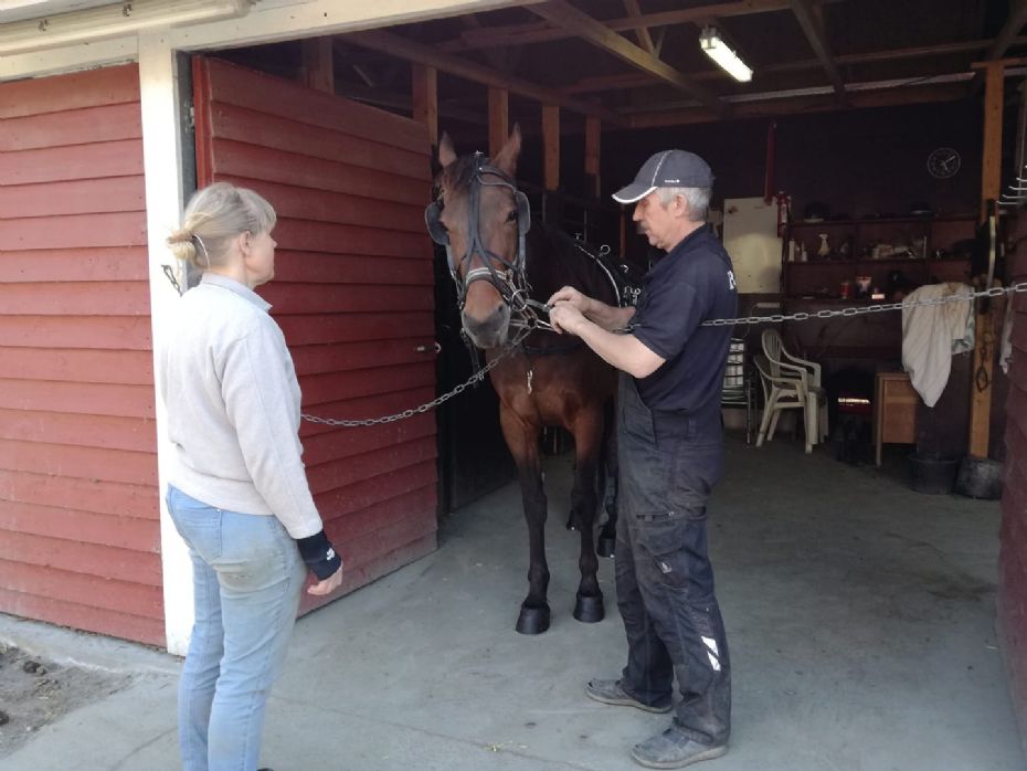 Frank Mikkelsen har to blankbud i V5