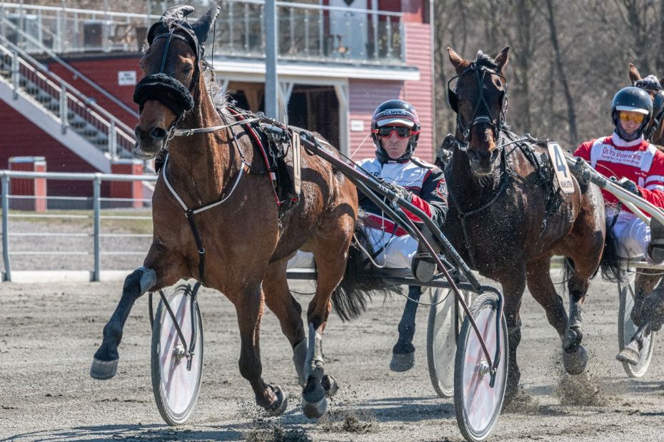 Apollo Damg�rd bliver bedre og bedre