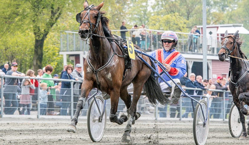 Formst�rk kusk jagter svenske vinderblomster