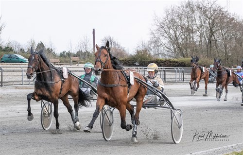 Debutsejr til bornholmsk opdr�ttet travhest