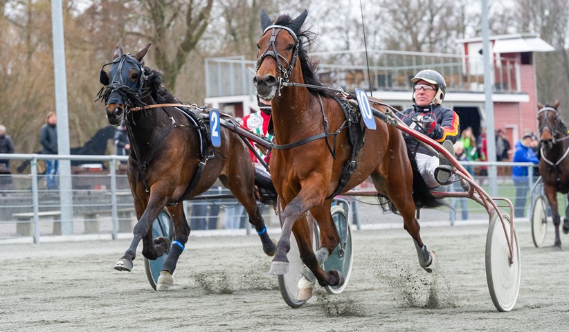 �rets travhest i pr�vel�b p� l�rdag