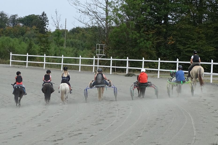 G�stekuske med til s�sonstart i ponytrav