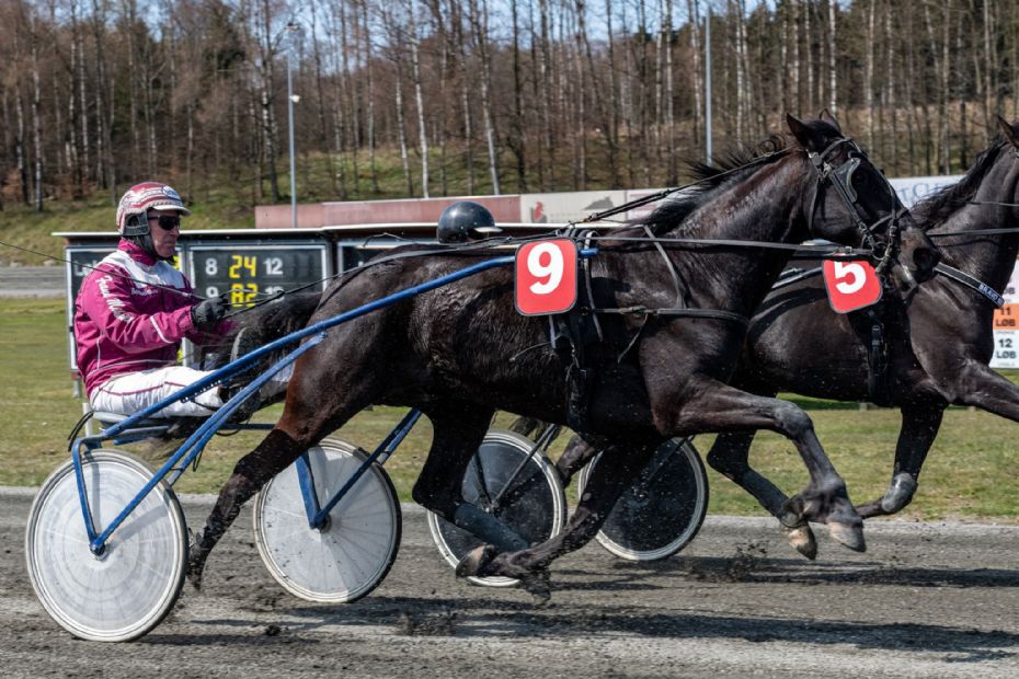 Sejrsl�s Frank Mikkelsen f�rer tr�nertoppen