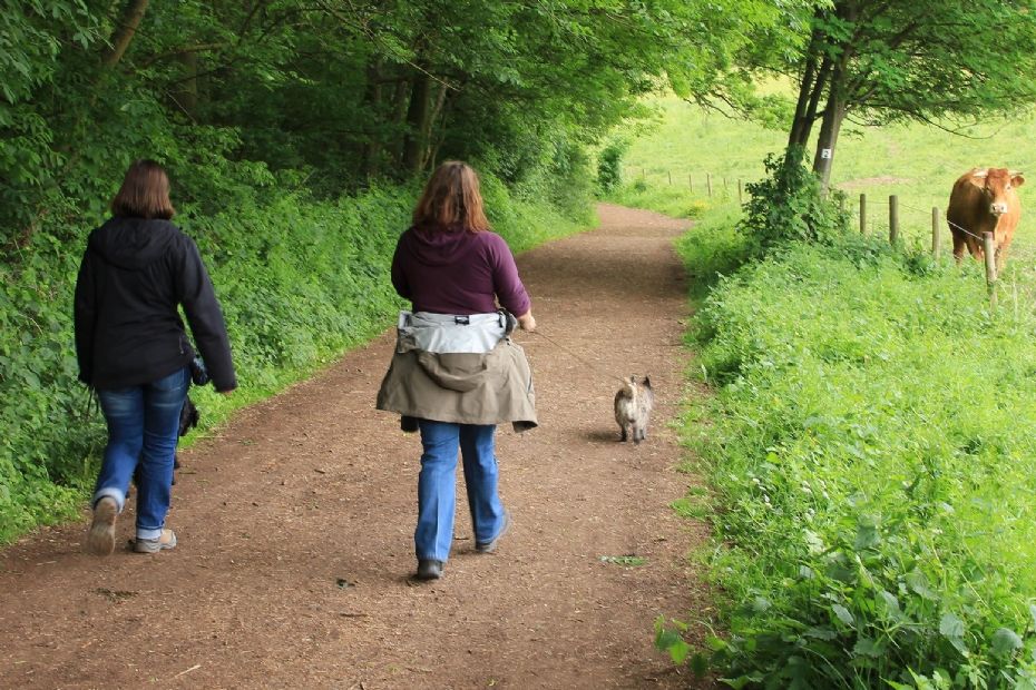 Hasle bev�ger sig med f�lles g�tur