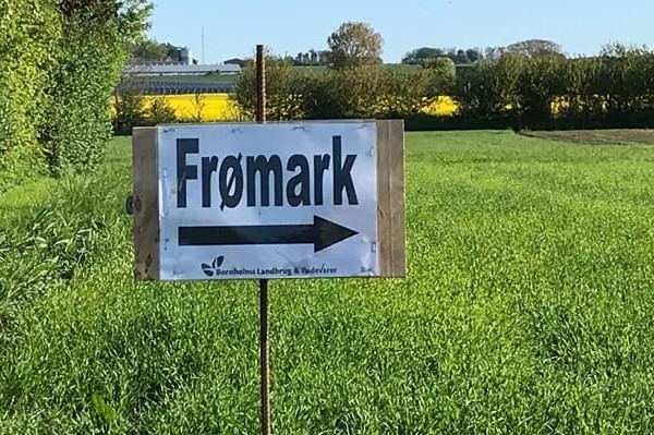 Kommunen sl�r specielle gr�ftekanter