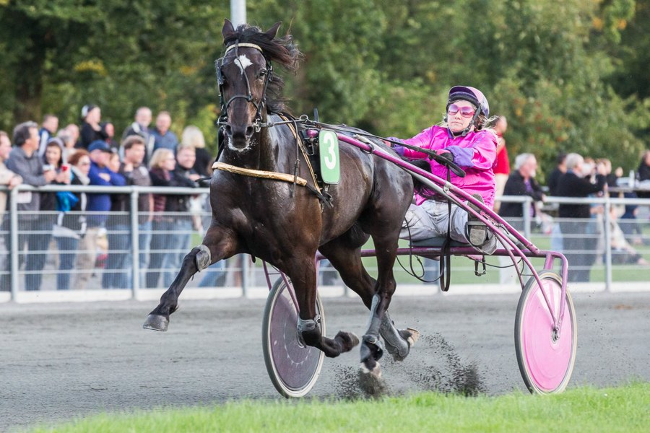 God pr�station af Betina Lunds hest i Sverige