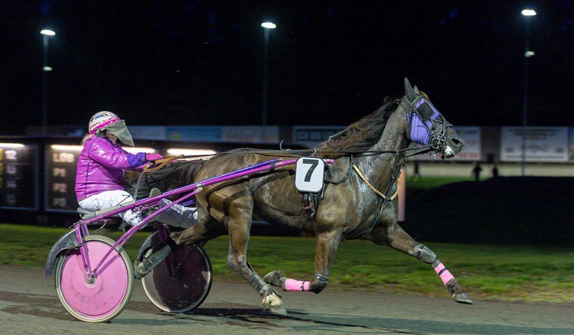 Betina Lund jagter svenske vinderblomster