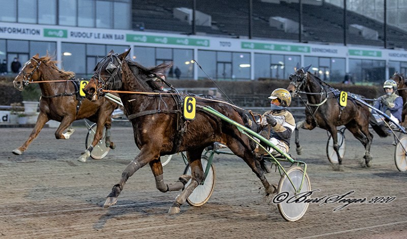 Endnu en travhest k�bt til Bornholm