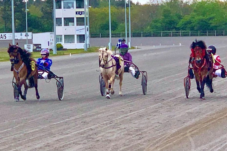 Bornholmersejr i Nordvestjylland