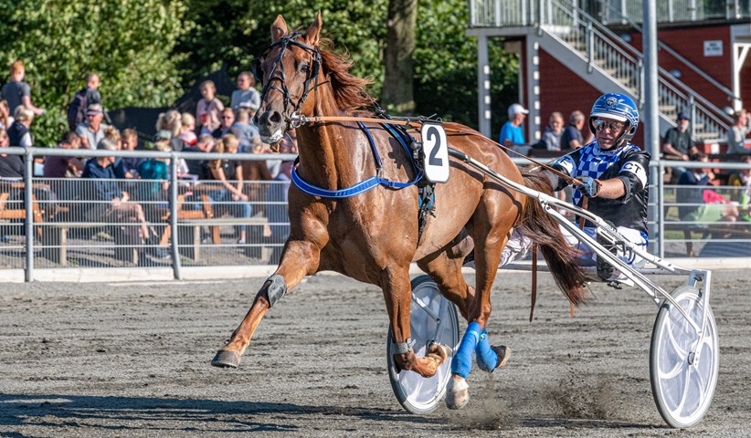 Mesterskabstoer slettet til travl�bene