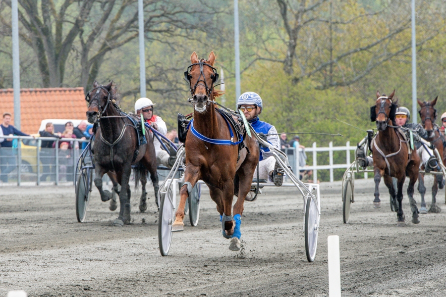 Fire heste udg�et til dagens travl�b