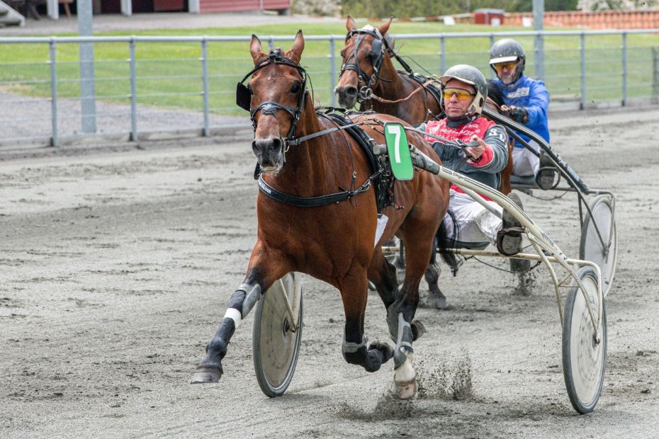 Forrygende startliste til næste løb på travbanen