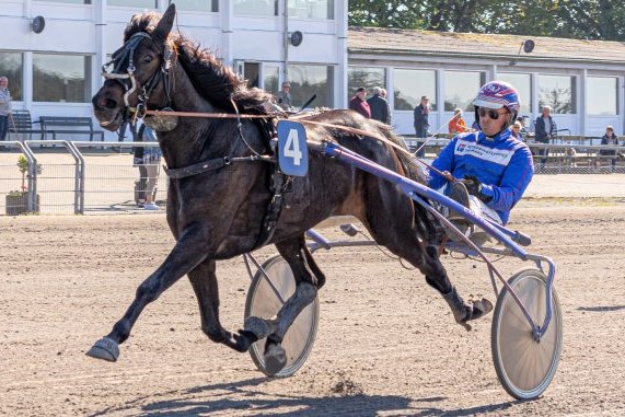 Bornholmsk opdr�t choksejrede i Nordvestjylland