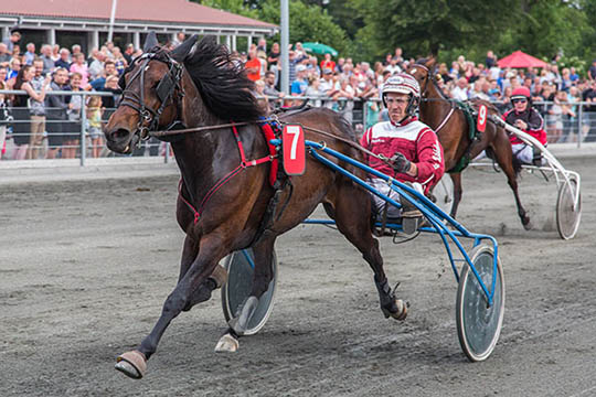Frank Mikkelsens hest udenfor pengene i Sverige