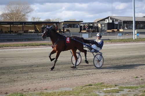 4-�rsmester overlegen p� Sydhavs�en