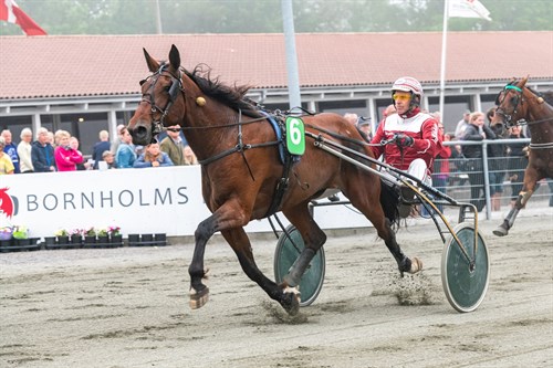 Bornholmsk champions opdr�t til tops i Odense