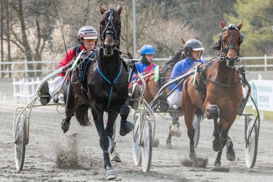 Bornholmsmester henvist til pr�vel�b