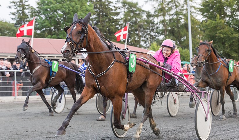 Betina Lund har booket topkusk