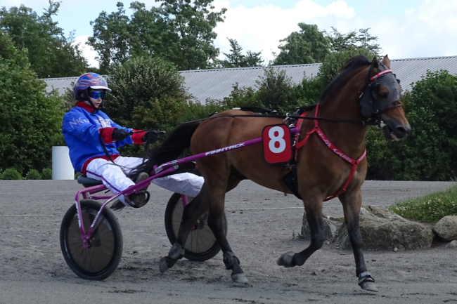 Sulkytalenter p� nyt trip til hovedstaden