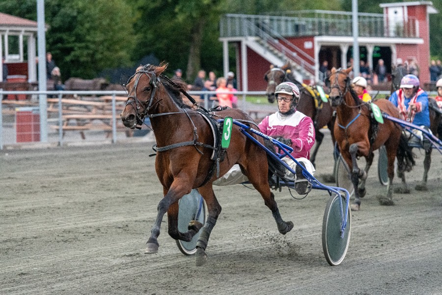 Udskiftning i Frank Mikkelsens stald