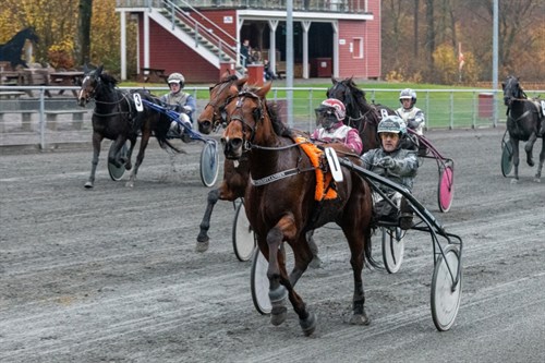 Corona bet�d lavere aktivitet p� travbanen