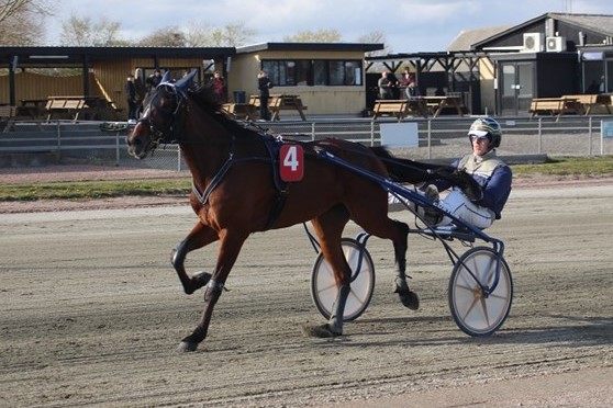 Forrige �rs 4-�rsmester til tops p� Sydhavs�en