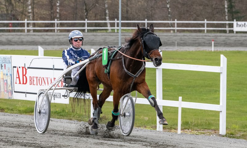 Kredsen bag Hazard Sund tror p� sejrschance