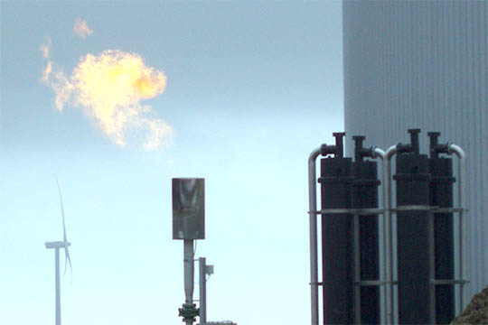 Overskud i Bornholms Bioenergi ApS