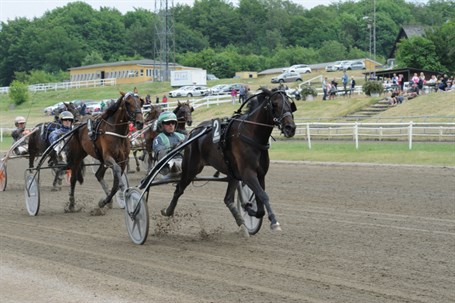 41.000 kr. i pr�mie til travhest fra Bornholm