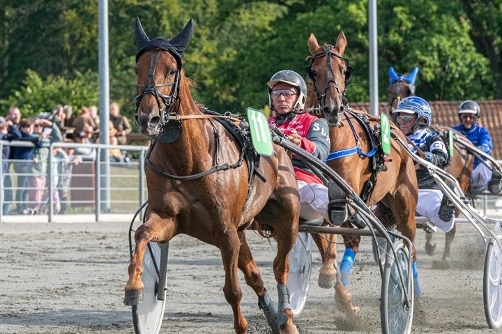 Pr�miesum p� 20.000 i hoppemesterskab