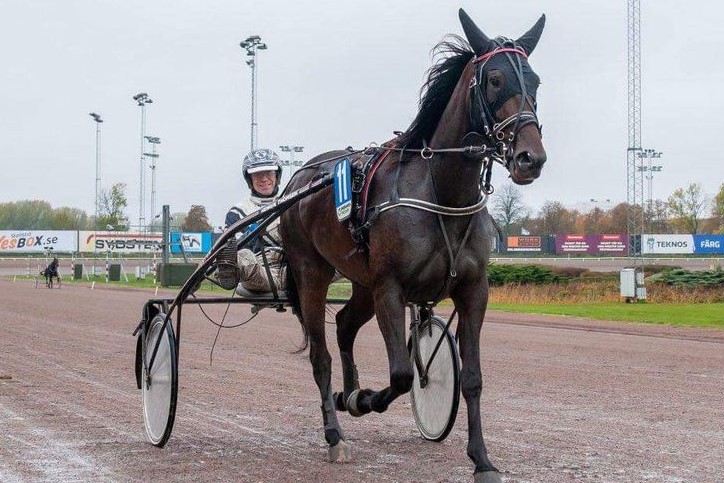 Bornholmsk opdr�t tapper toer i Sverige