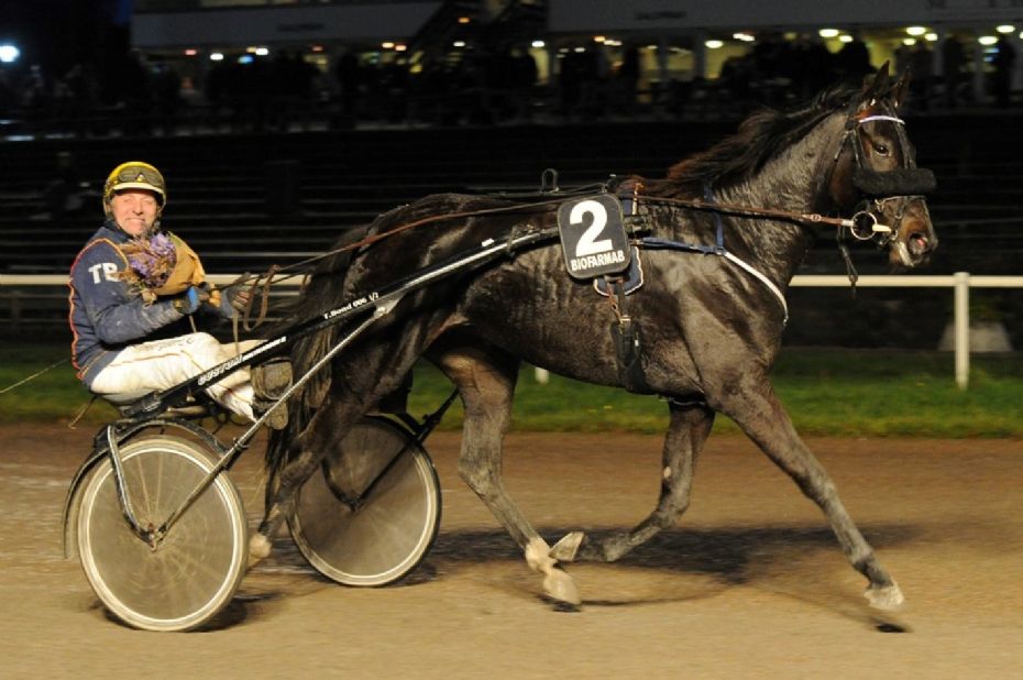 Stefan Lind-Holm med ny hest