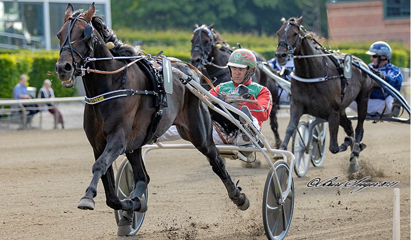 DM-guld til bornholmer