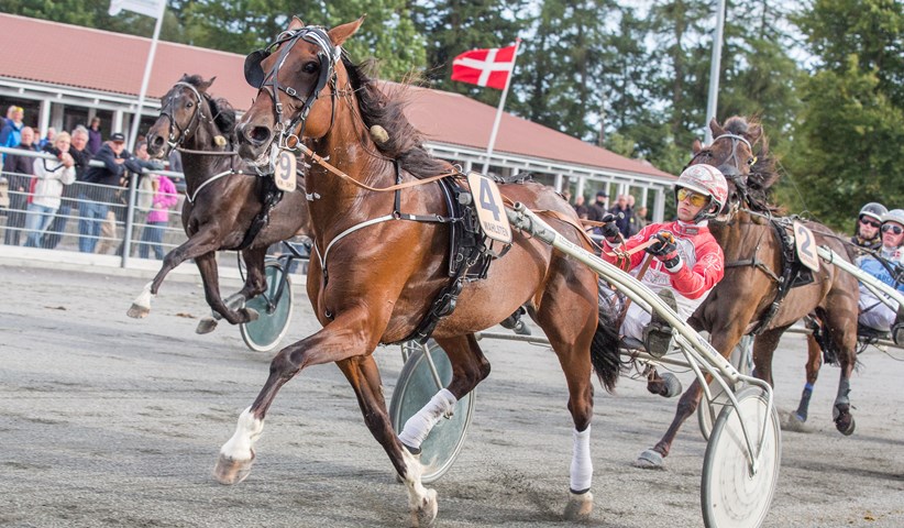 Bornholmsk hoppemester d�d i nat