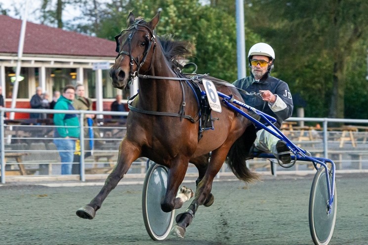 Endnu en travhest handlet til Bornholm