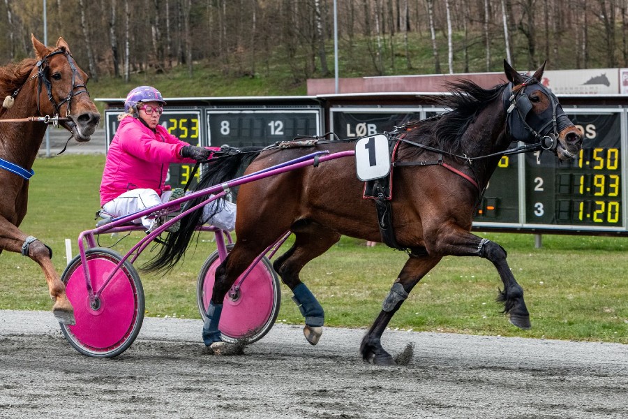 Betina Lunds hest diskvalificeret i Sverige