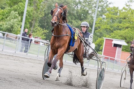 Femdobbelt champion til l�b i hovedstaden