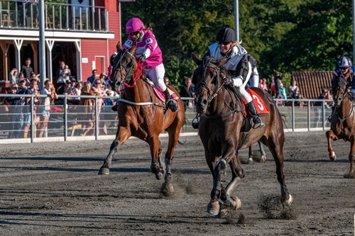 Call Me Hanover favorit til mesterskab
