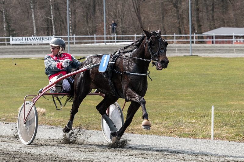 Travbanen melder udsolgt til Bornholms Derby