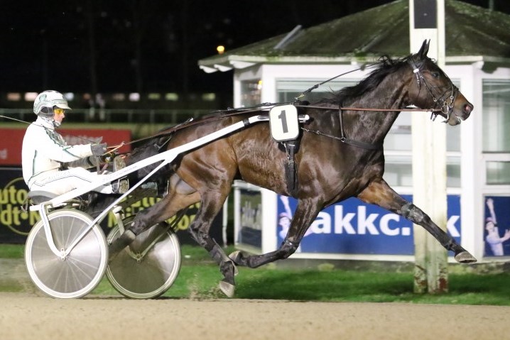 Danmarks f�rende travtr�ner satser p� BM