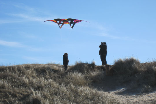 Drageflyvning ved �ens strande