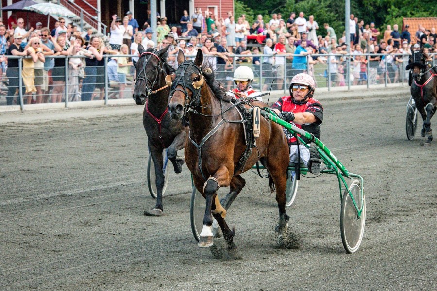 Vinderkusk id�mt karant�ne