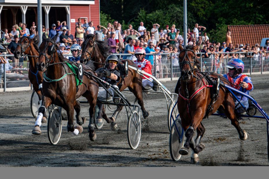 H�rfin kamp i tr�nertoppen p� travbanen