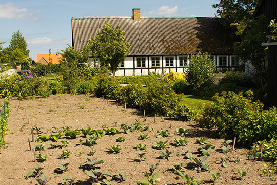 Skift afgr�der i k�kkenhaven