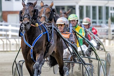 Bornholmsk opdr�t blandt favoritterne til Dansk Hoppe Derby