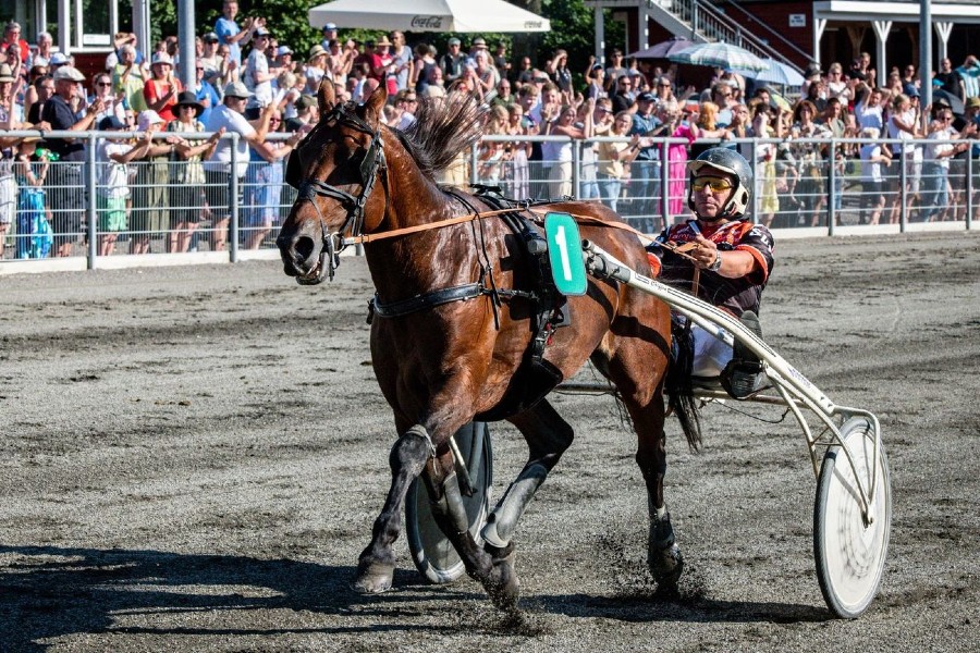 Stand And Deliver fortsat i front i Golden League