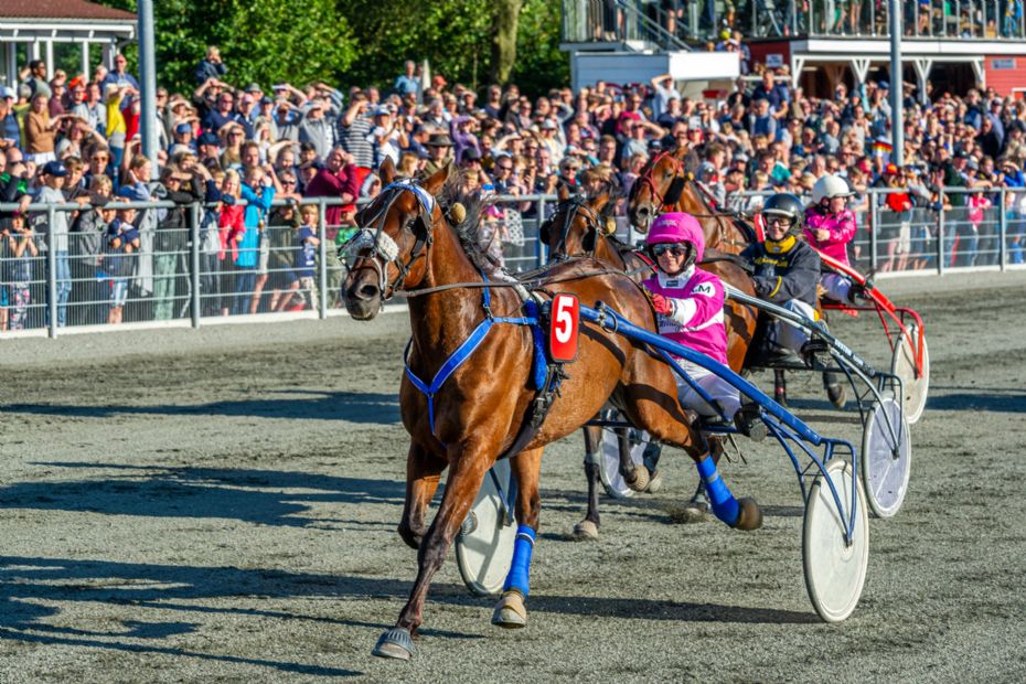 H�ber p� 2.500 til �rets st�rste travdag