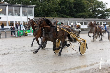 Bornholmsk opdr�t til tops i Skive