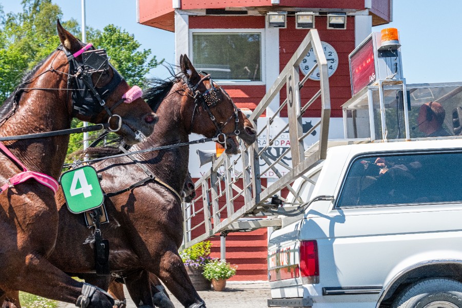 118 hest meldt til start p� storl�bsdag