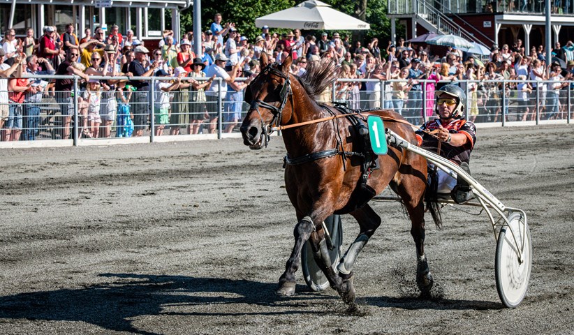 Stand And Deliver i ny sulky til BM-finalen